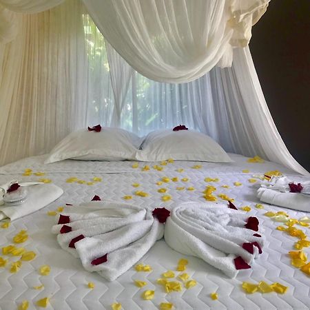 Eden Paradise Ecolodge & Spa Sainte-Luce Room photo