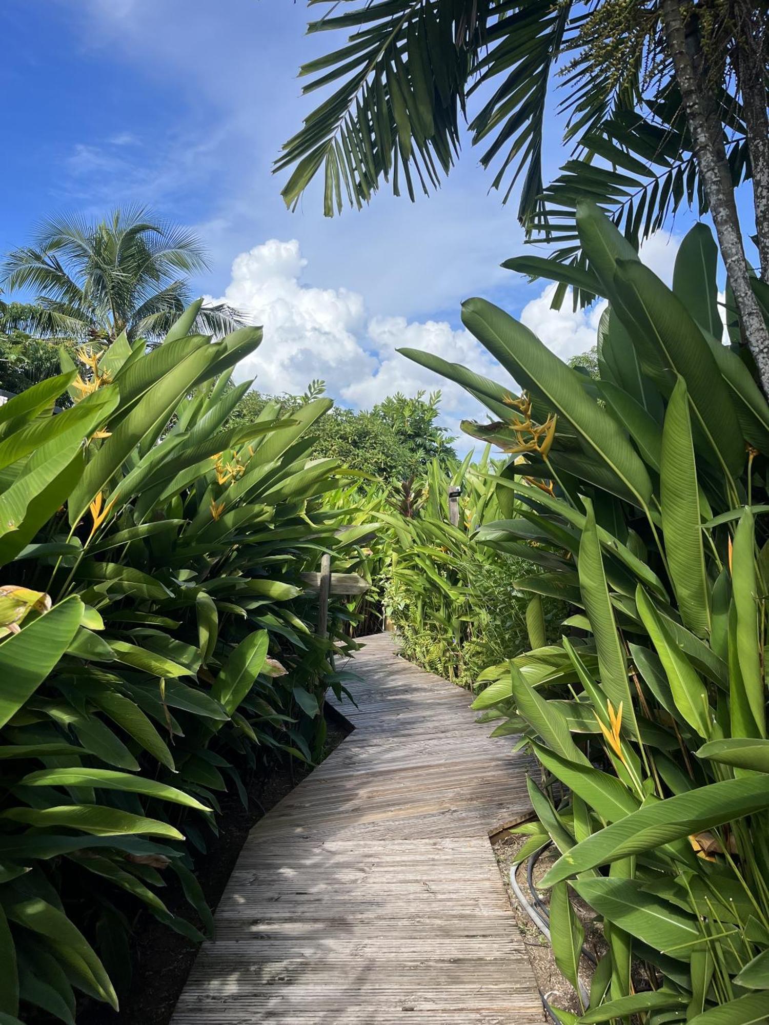 Eden Paradise Ecolodge & Spa Sainte-Luce Exterior photo