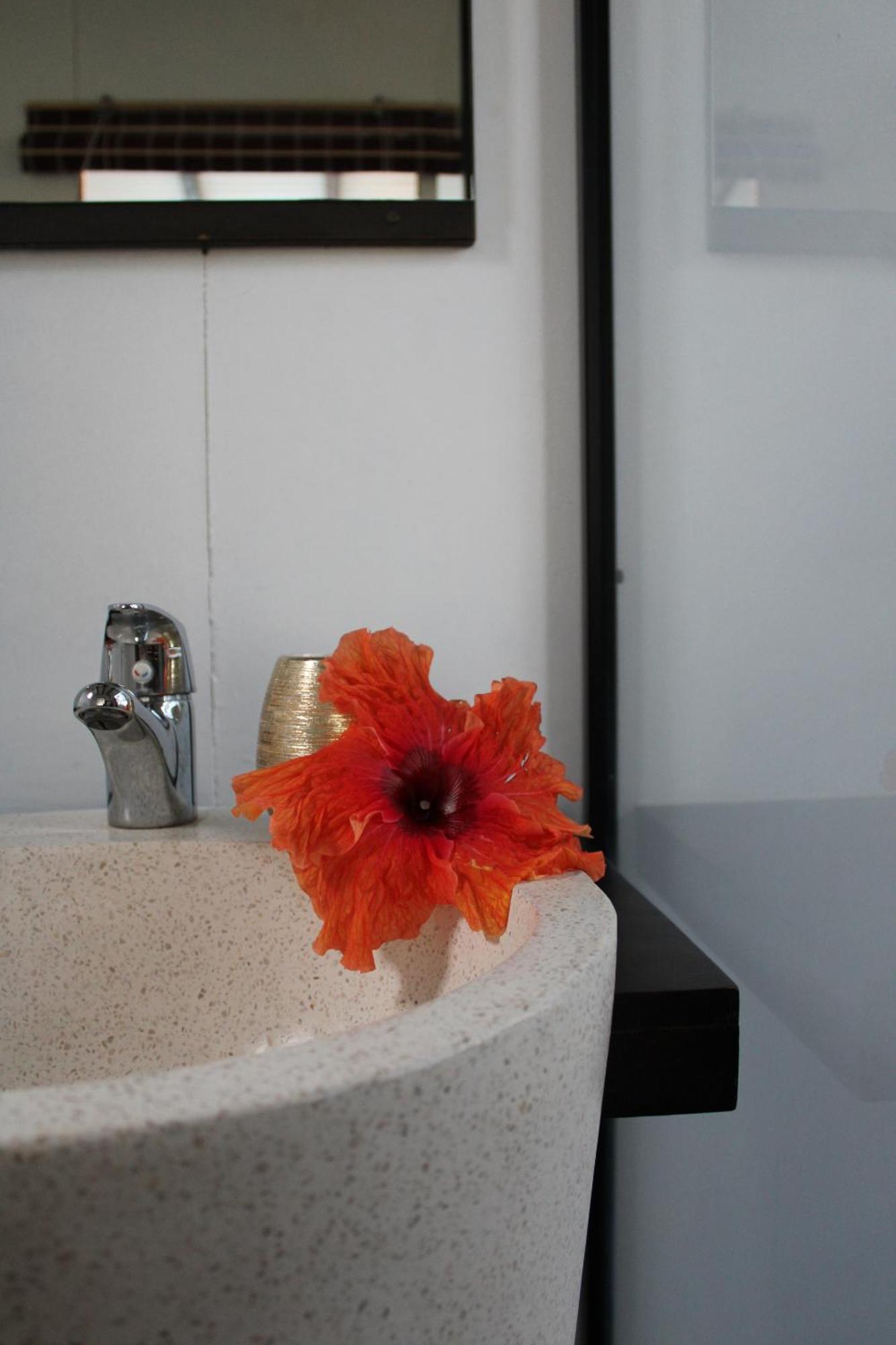 Eden Paradise Ecolodge & Spa Sainte-Luce Room photo