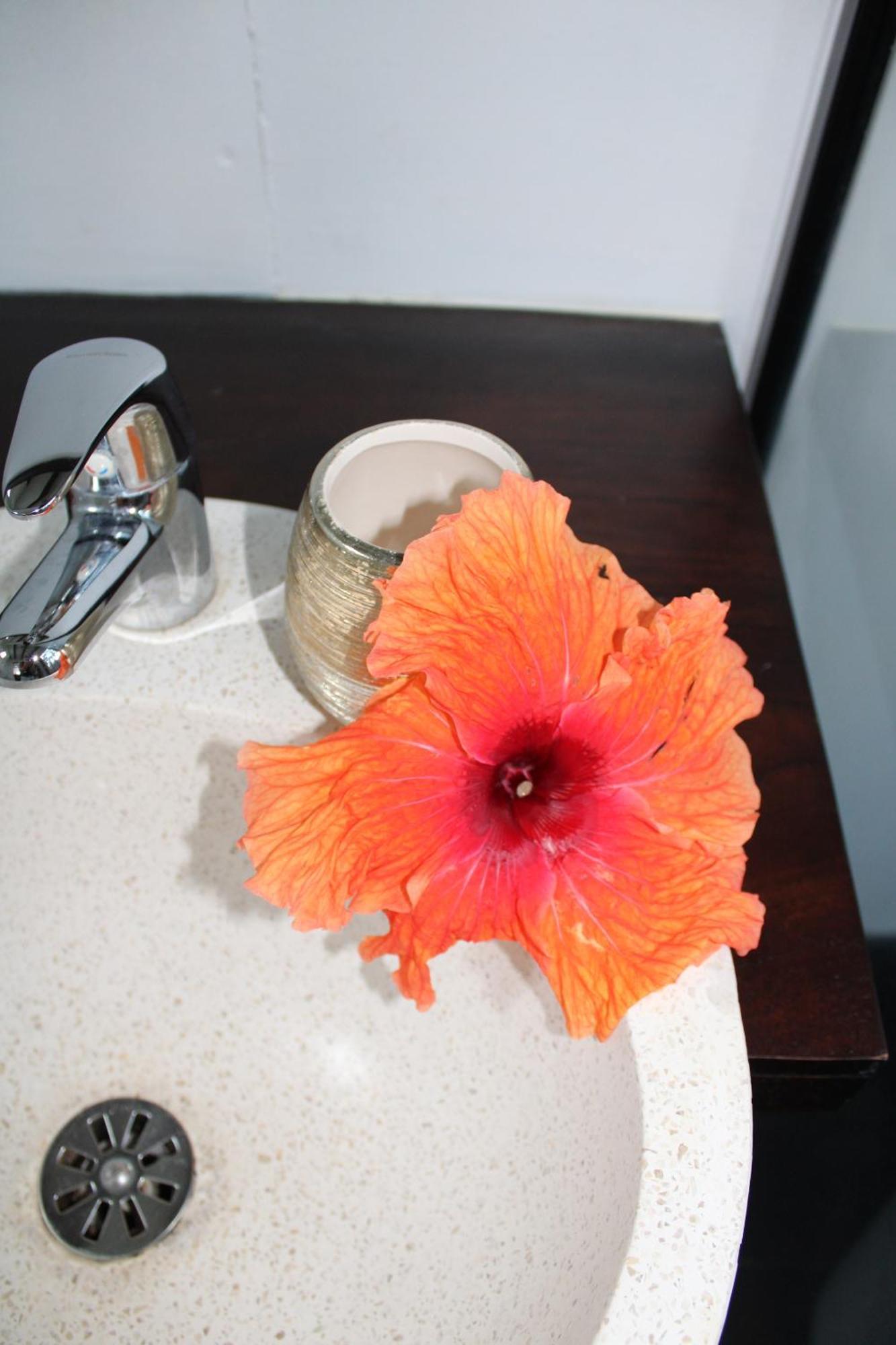 Eden Paradise Ecolodge & Spa Sainte-Luce Room photo
