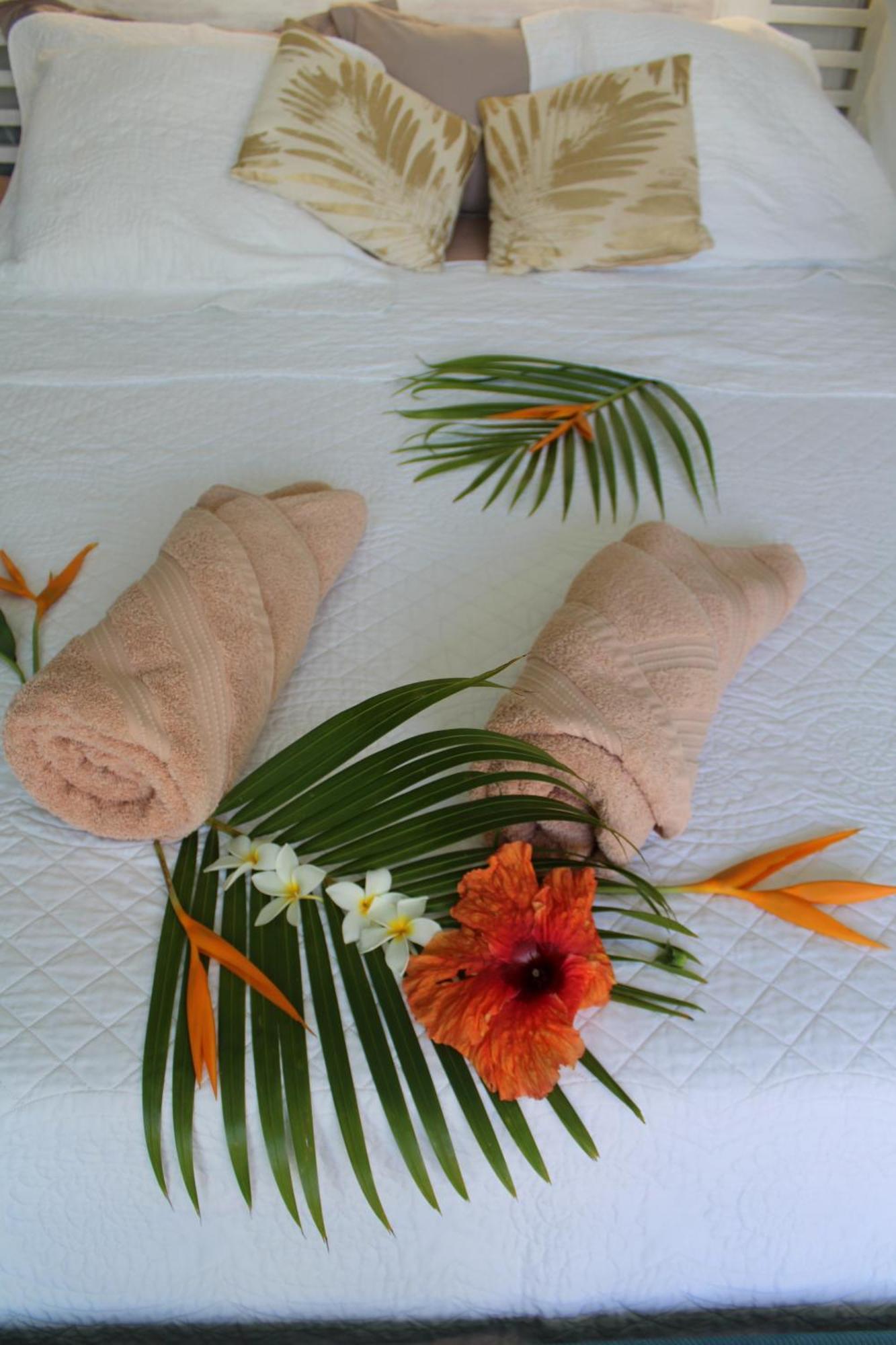 Eden Paradise Ecolodge & Spa Sainte-Luce Room photo